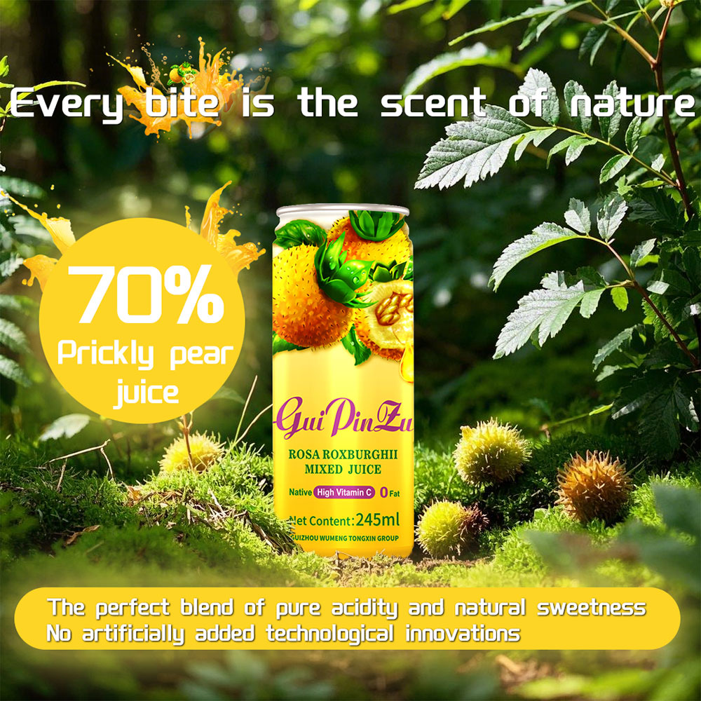 Rosa-roxburghii-juice-from-nature - Huihua